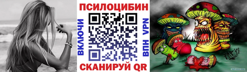 купить  цена  Симферополь  Псилоцибиновые грибы Psilocybe 